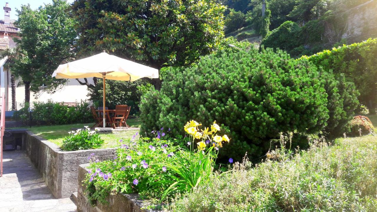 Villa Giardino Dervio Eksteriør billede