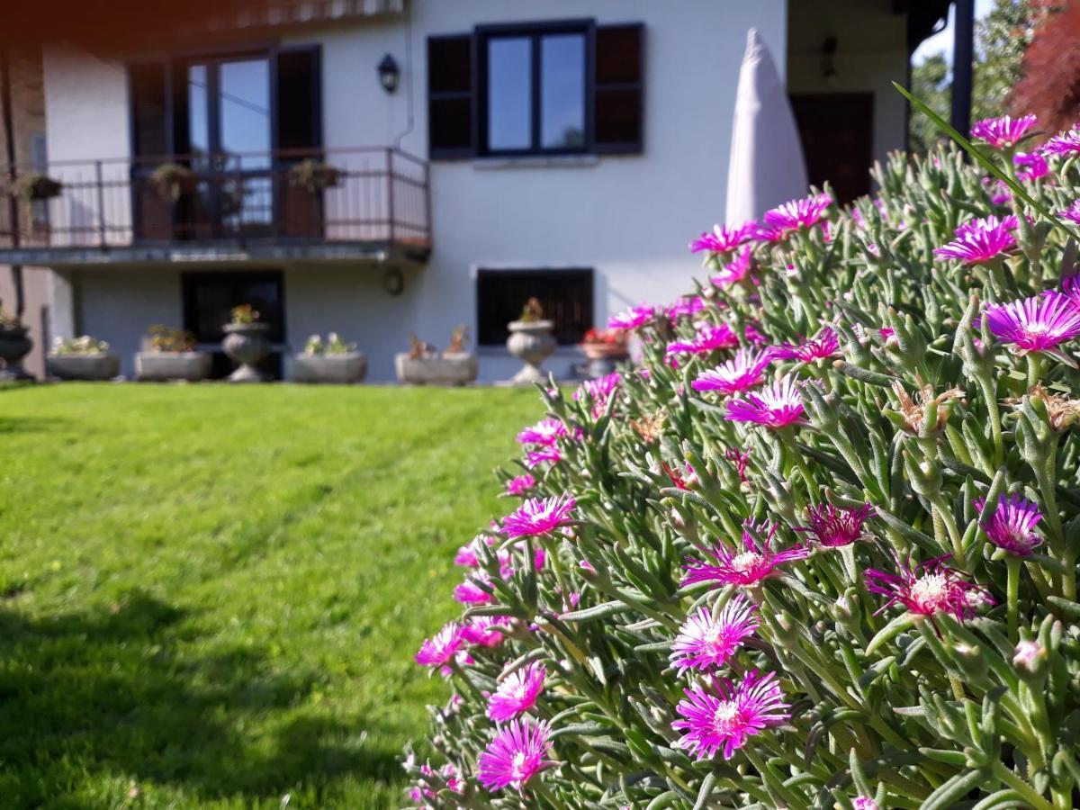 Villa Giardino Dervio Eksteriør billede